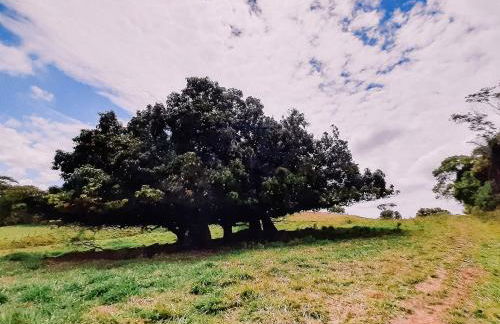 Recanto das Videiras - Casa em Vinícola - Foto 122