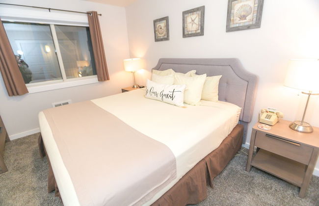 The Grey Gull - Foto 53