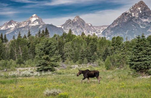 Abode at Granite Ridge | Luxury Lodge - Foto 73