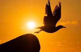 Mirador do faro Touriñan - Foto 47