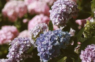 Pfälzer Herzel mit 2 Schlafzimmern und Blick über die Rheinebene kostenfreiem Parkplatz und Wlan fußläufig zum Wald und den Weinbergen Weinkühlschrank Brötchenservice Garten mit Gasgrill - Foto 37