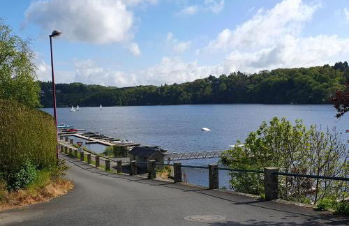 Les mimosas du Lac Vue panoramique sur le lac - Foto 25