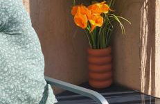 Appartement les hauts de balaruc L' escapade T2 rénové parking climatisation et piscine - Foto 31