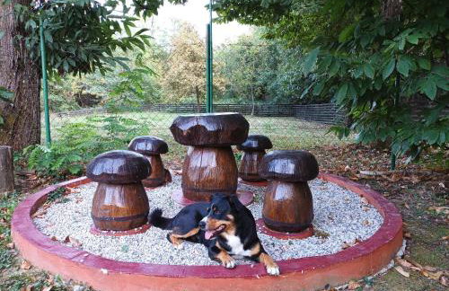 Holiday Home Nina Petrinja - Foto 27