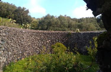 2 Gatti - Sogno - Foto 21