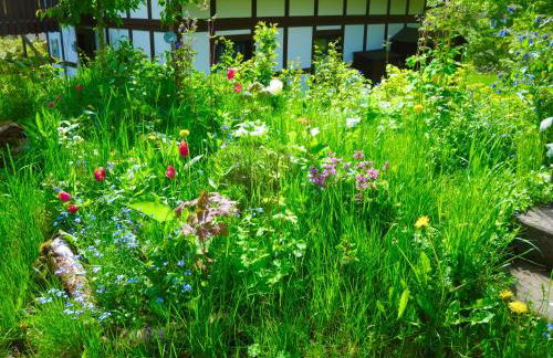 Natururlaub Frankenau - Foto 12