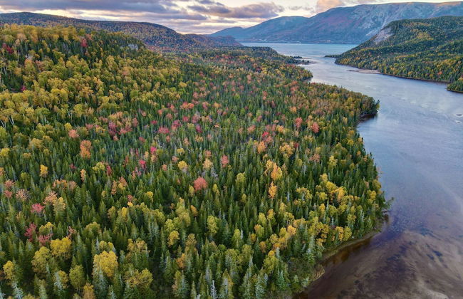 Bonne Bay Cottages - Photo 34
