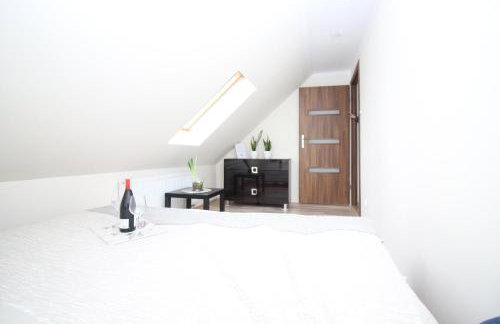 Apartamenty Trzciana - Foto 15