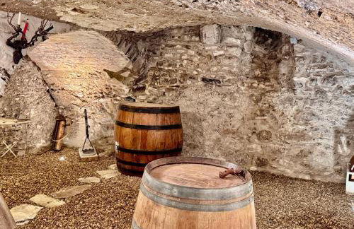 Maison d'Antan, Ambiance chevaleresque Cave voutée - Foto 51
