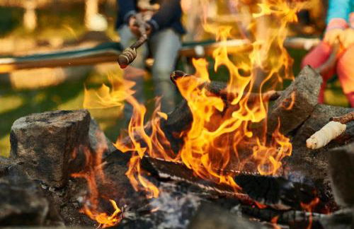 Ferienhof Stetter - Foto 17