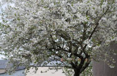 gite l'opale - Photo 18