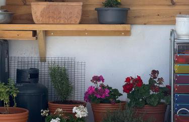 Leemore's Kalo Chorio - Foto 21