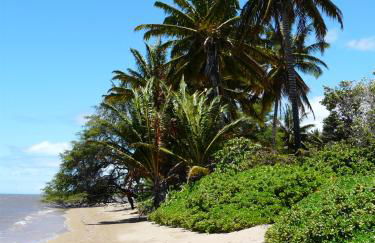 Ka Hale Kealoha - Foto 16