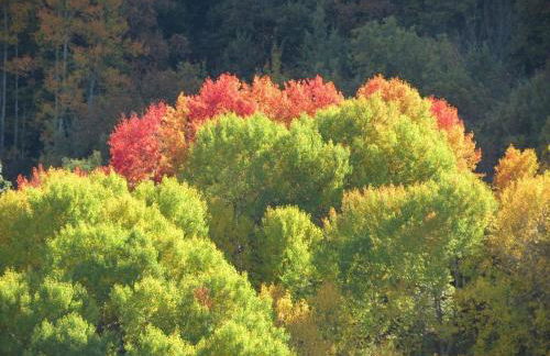 La Fusteria del Casat - Foto 72