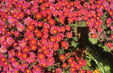 La Casa di Lice - Foto 13