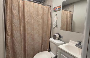 Jungle Oasis By Busch Gardens USF and Amphitheater - Foto 2