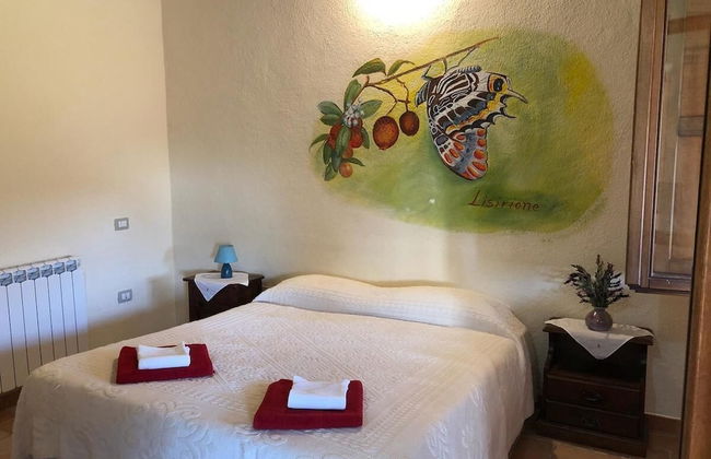 Sa Tanchitta - Foto 8