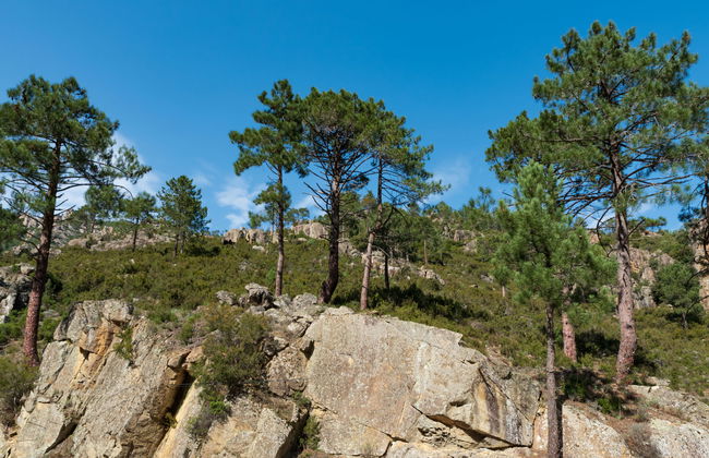 1 bedroom Apartment in Corte - Photo 17