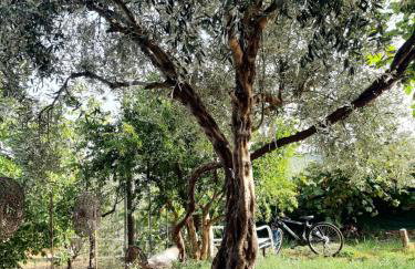 Σπίτι στον κήπο - Photo 5