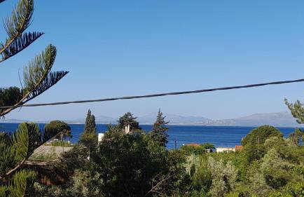 Asteria House - Foto 42