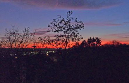 Ferienwohnung-Wiesbaden-Top3 - Foto 24