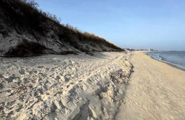 Niebüll 1900 - Foto 25