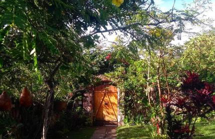 Jardim das orquídeas - Foto 33