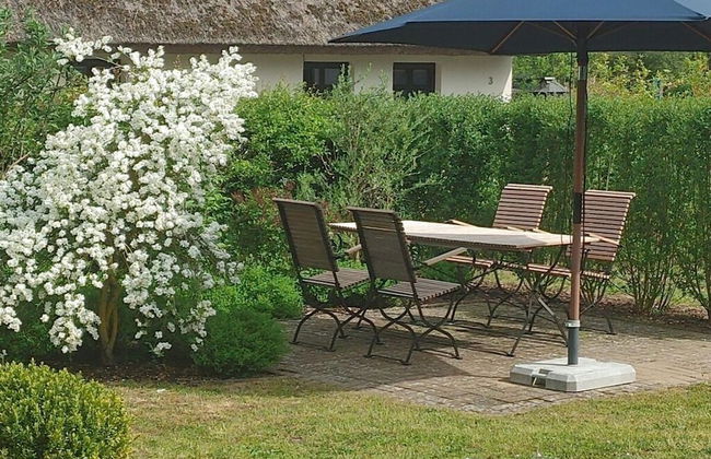 Captain House South Cats 8 - Photo 7