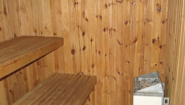 11 Person Holiday Home in Idestrup - Foto 2, Sauna