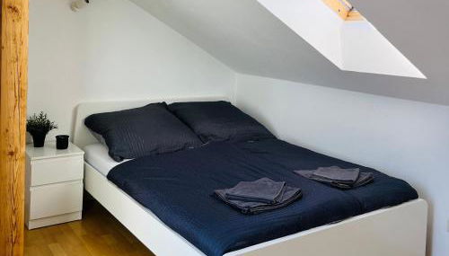 Modernes Cityapartment nähe Schloss Pillnitz - Foto 4