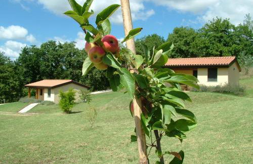 Valle del Lupo - Foto 9