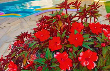 Pousada Dona Terezinha - Foto 25