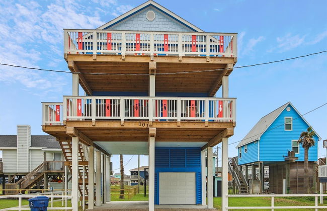 Birds of Paradise - Foto 19