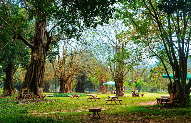 Armin Homes Studio Haven Park Ecopark - Photo 25