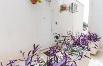 House Niko T with 6 apartments - Foto 49