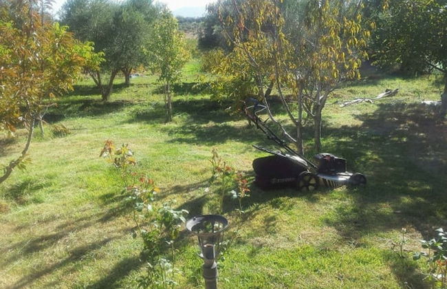 Ferme Andalousse - Foto 15