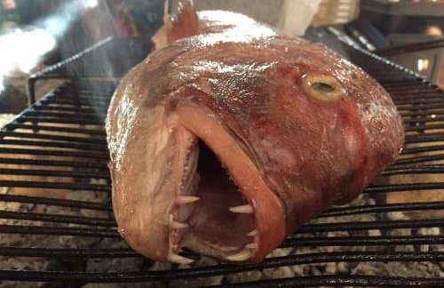 Kuća za odmor Joko i Jeka - Foto 52