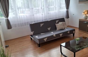 Apartment Banovac - Foto 9