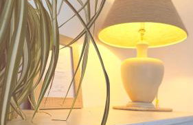 Beehive Cottage - Photo 29