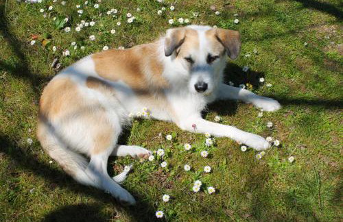 La Corte dei Rho - Photo 33