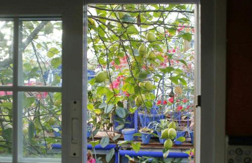 El patio azul Bohemio Mágico - Foto 13