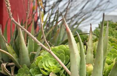 Modern, Remodeled Echo Park House-Walk to Sunset Blvd, Dodgers Stadium, Shops, Bars, Restaurants, Lake, Concerts - Photo 20