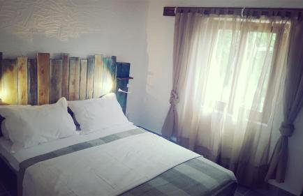 Tvrdic Honey - Photo 15