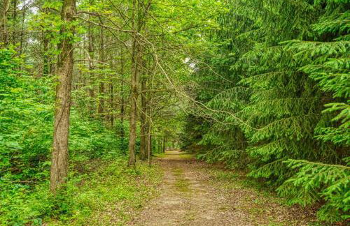 Swaying Pines Cabin w/EV Charger - Foto 30