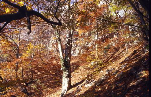 Casa Vacanze La Villa - Foto 17