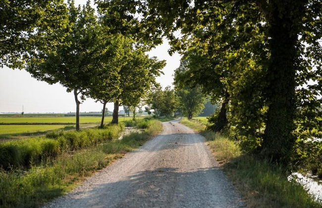 Azienda Agricola Le Colombare - Foto 49