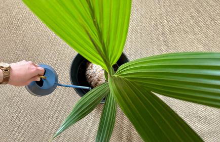 Gemütliches Apartment - Photo 17