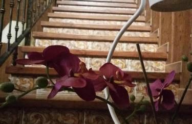 Casa Rural El Infante - Foto 12