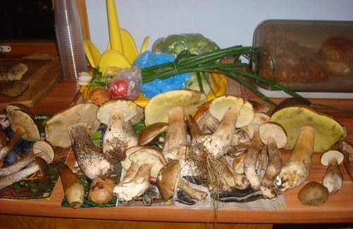 Chata Kurpiowska - Foto 37