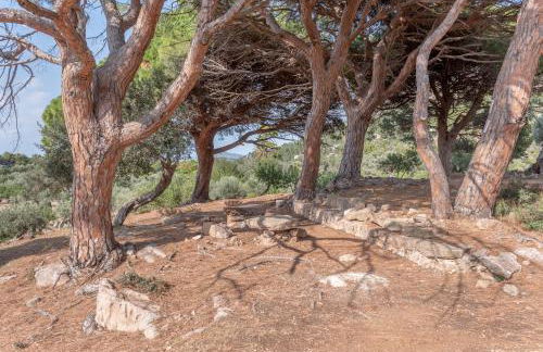 Deià semi-detached sunny country house, near GR221 - Foto 19